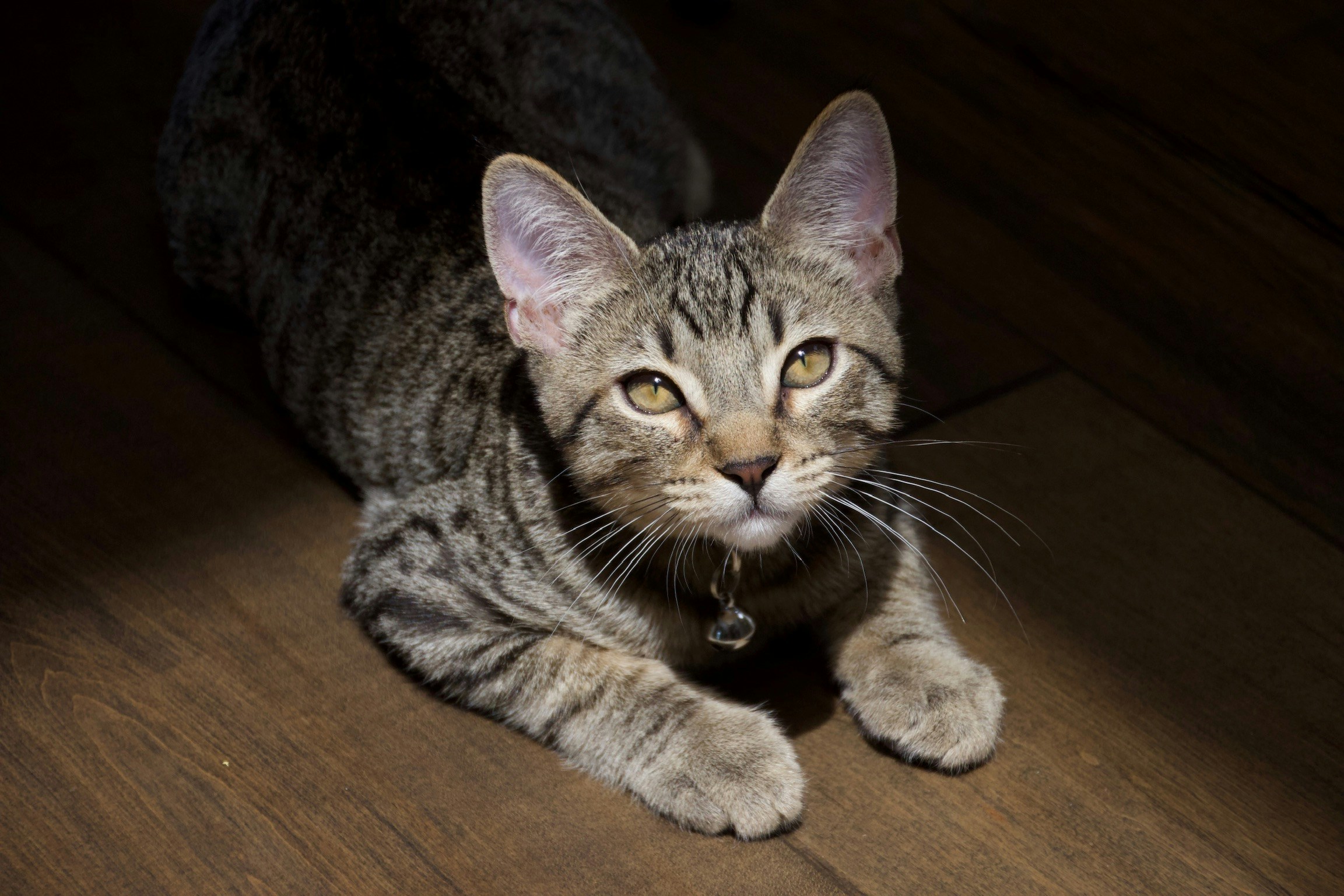 Emily Onofrioのプロフィールを見る