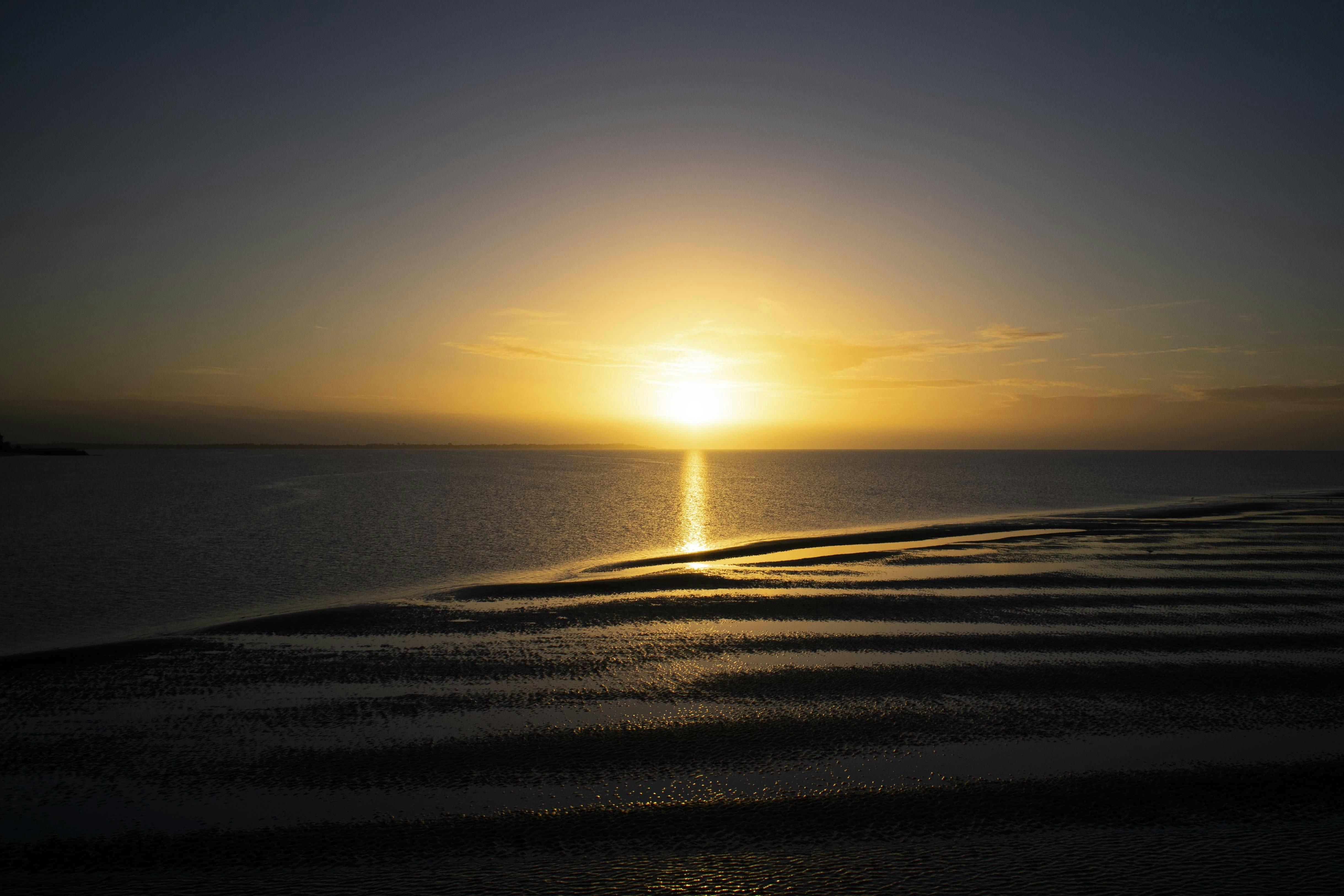 Go to Joey Smith's profile