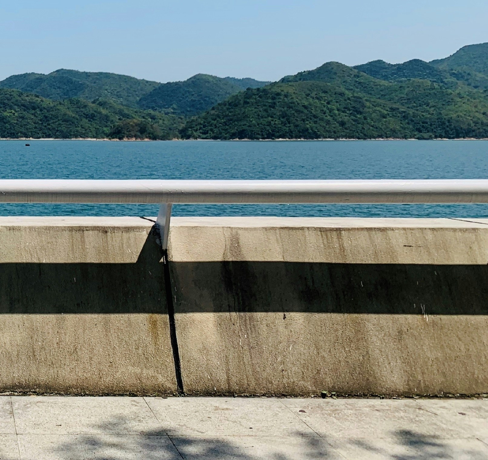 Zum Profil von Yang Hsu