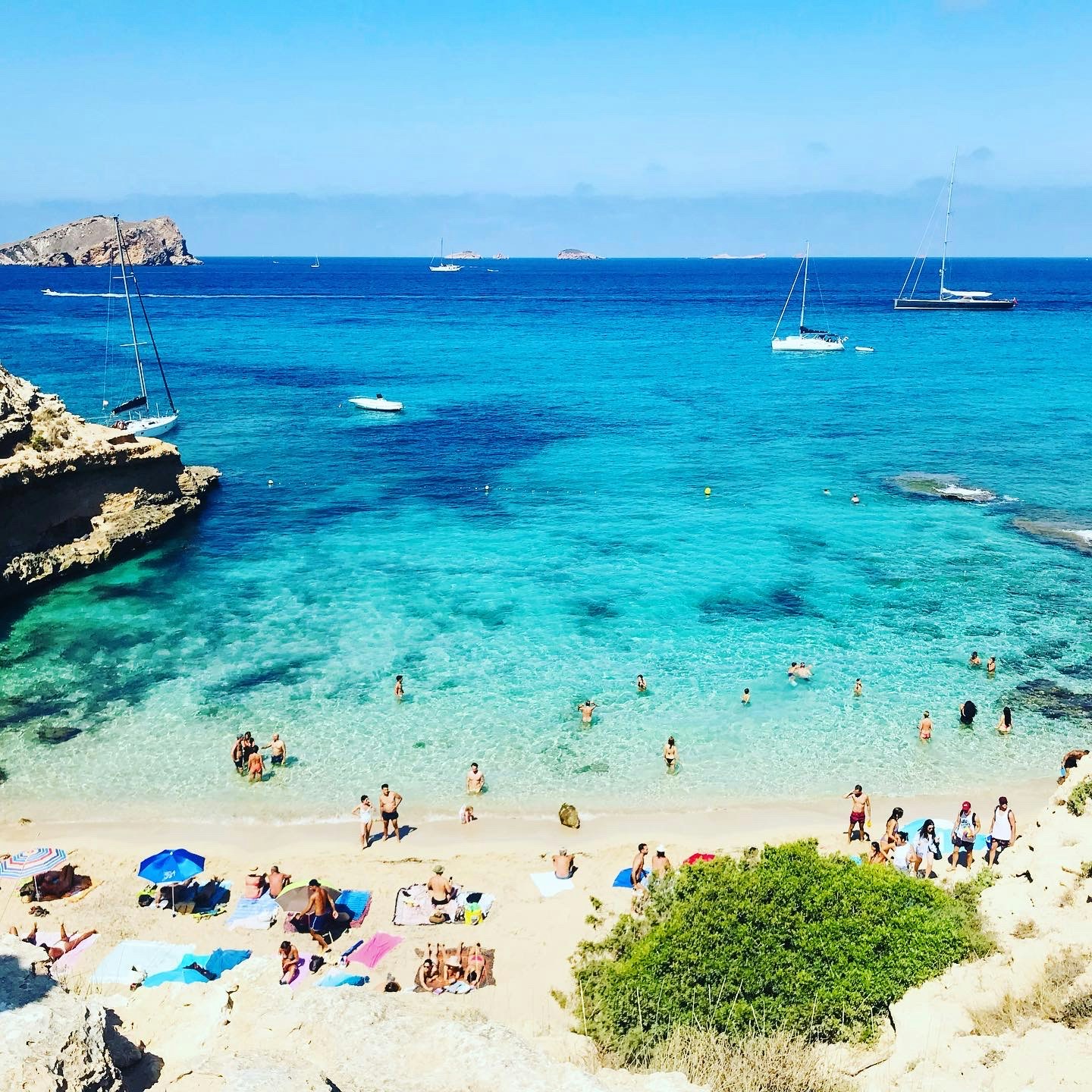 Ve al perfil de Thibault Ludwikowski