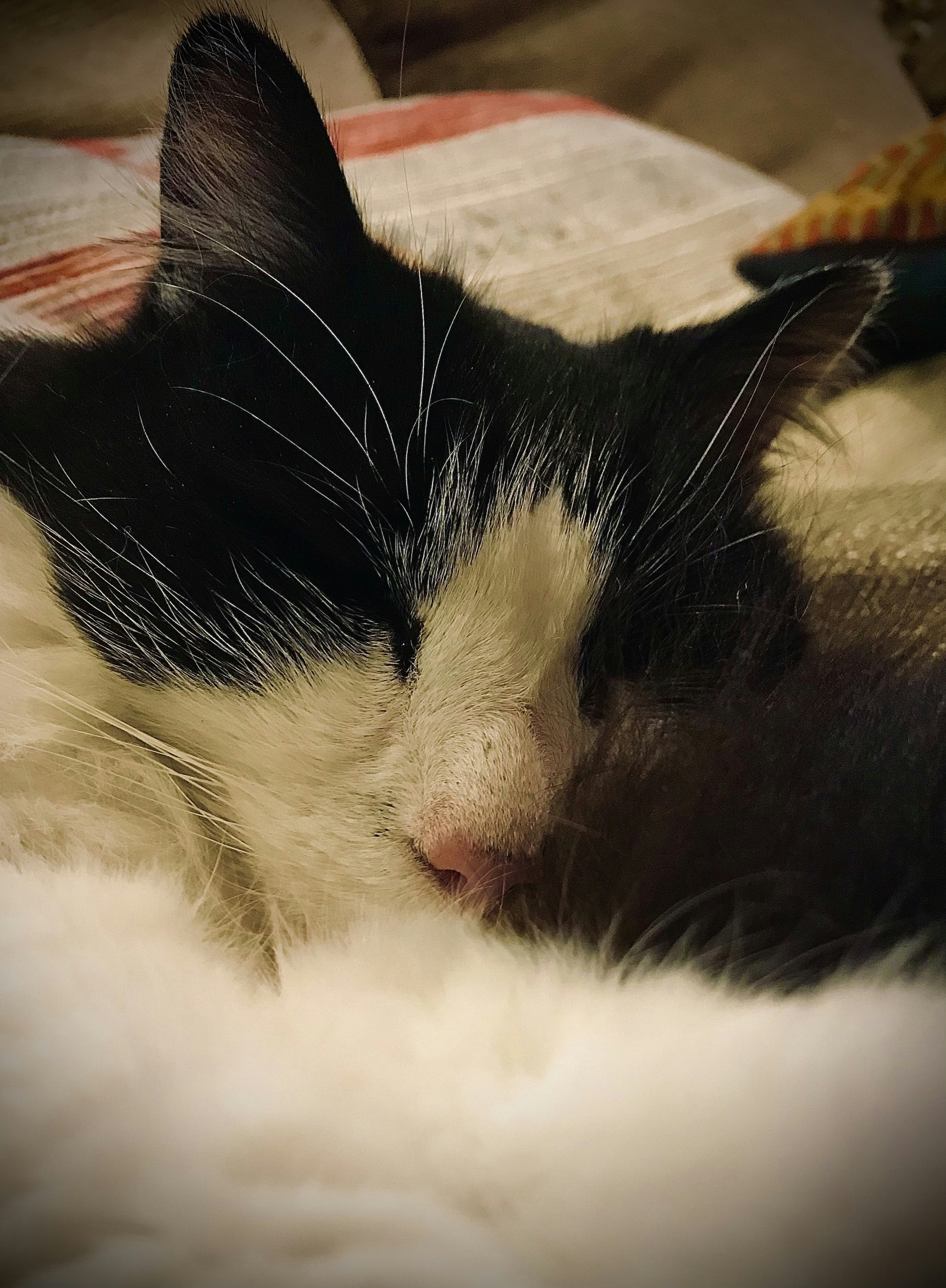 Go to Åłdęñ Peterson's profile