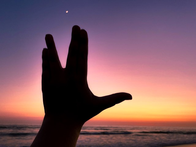 Go to Electron Photography's profile