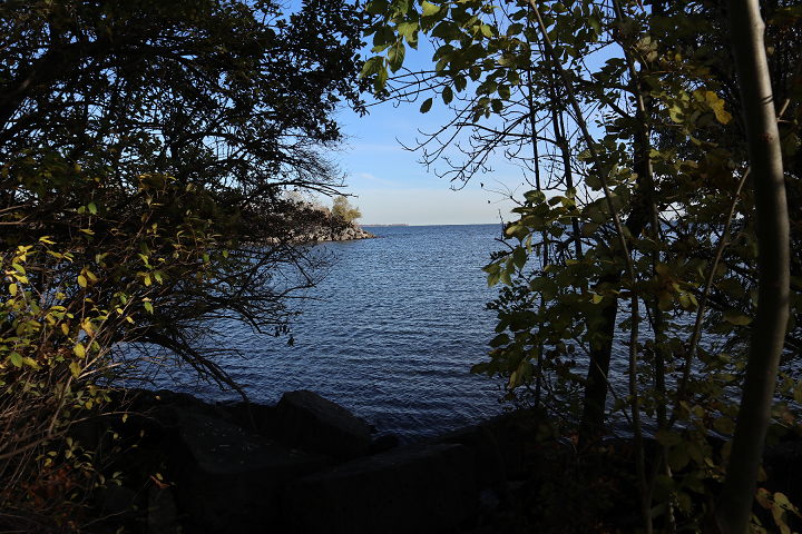 Go to Justin Ziadeh's profile