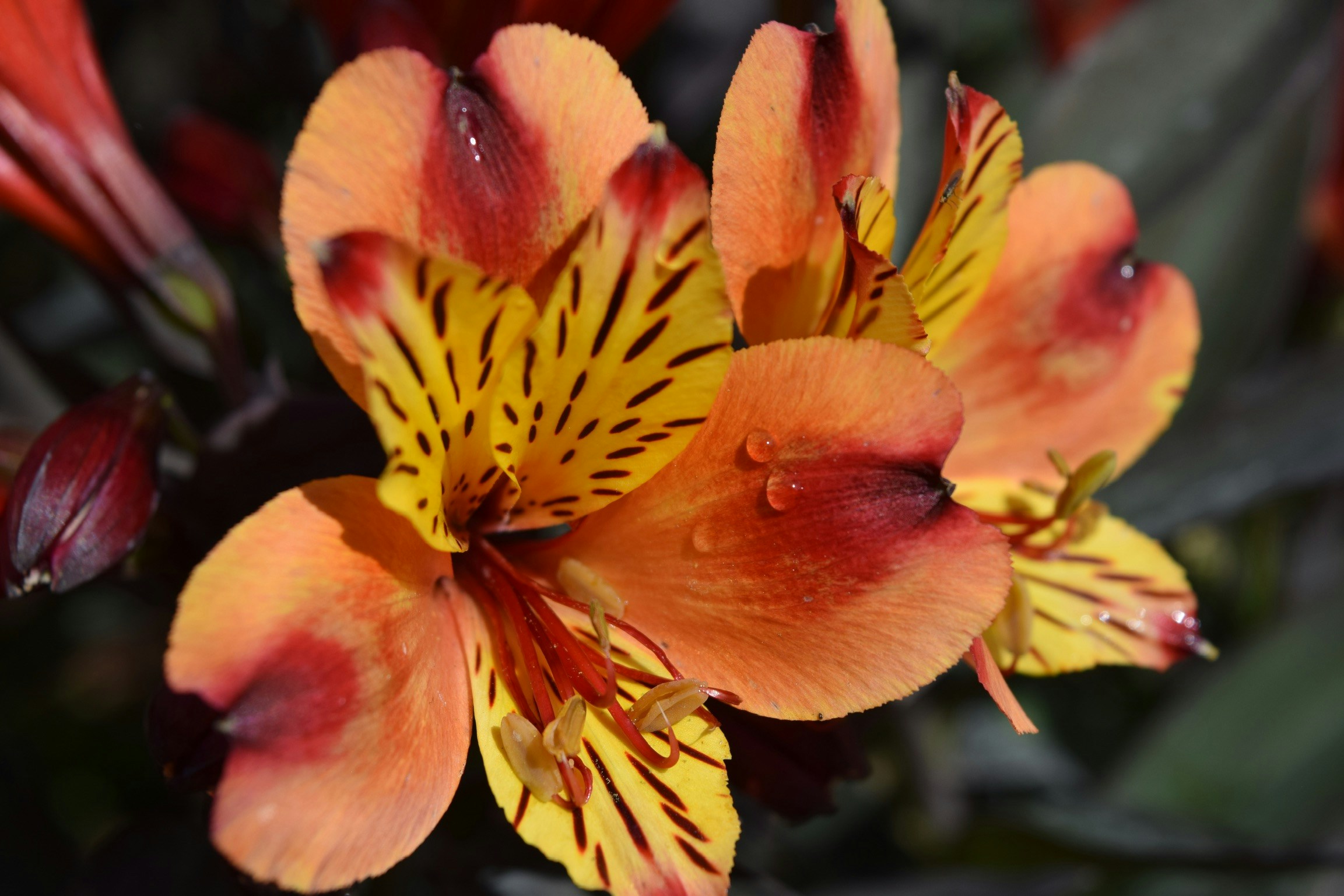 Go to Maelys Kerherve's profile