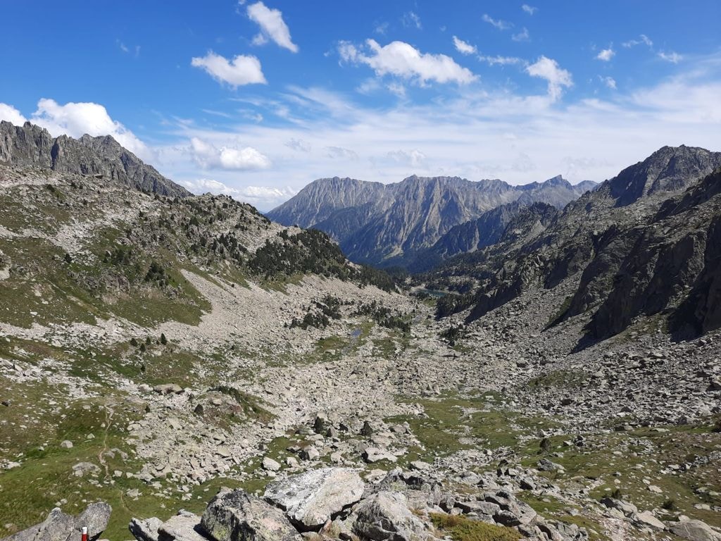 Zum Profil von Andrés Rodríguez