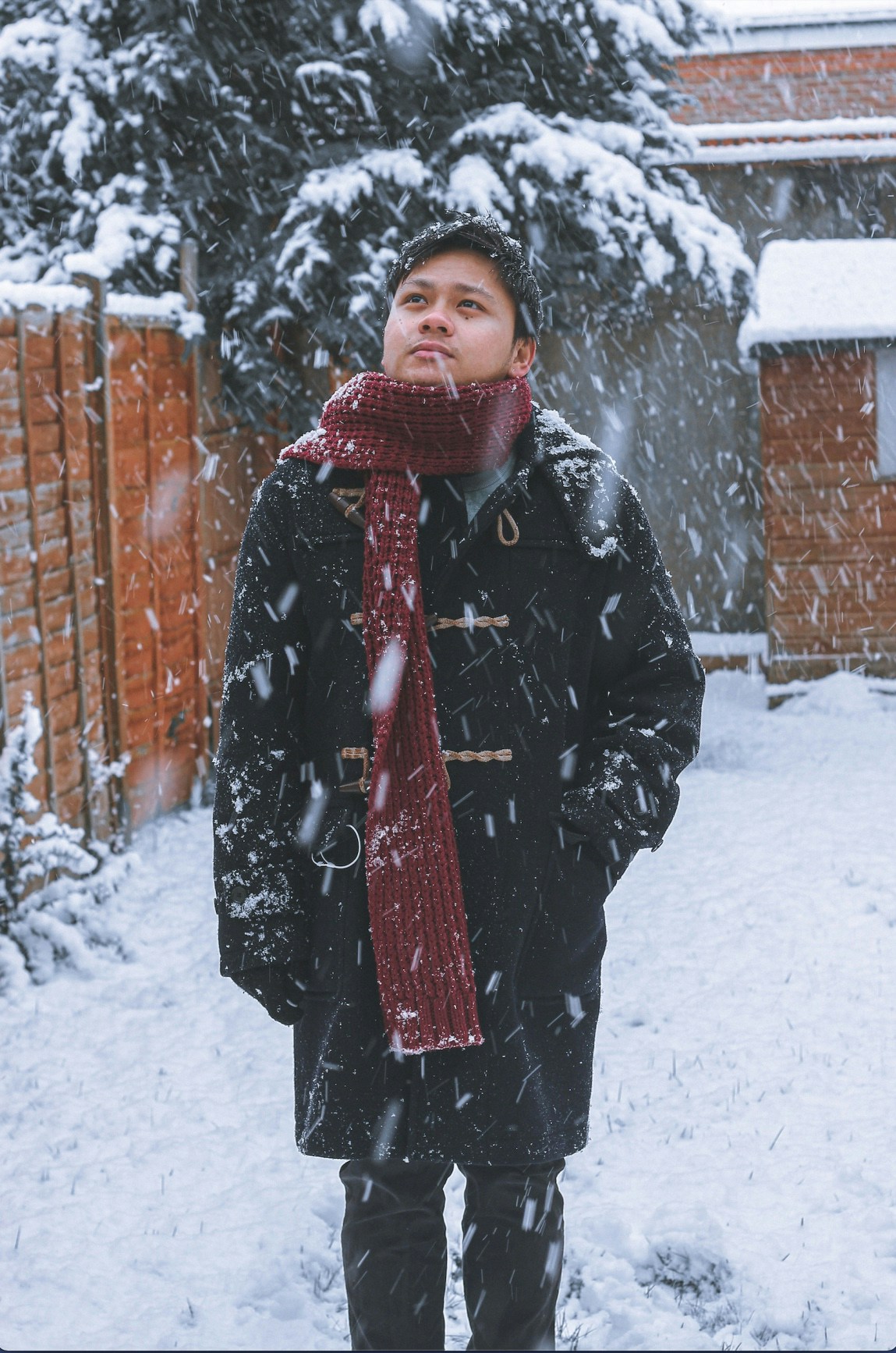 Go to Ian Cacao's profile