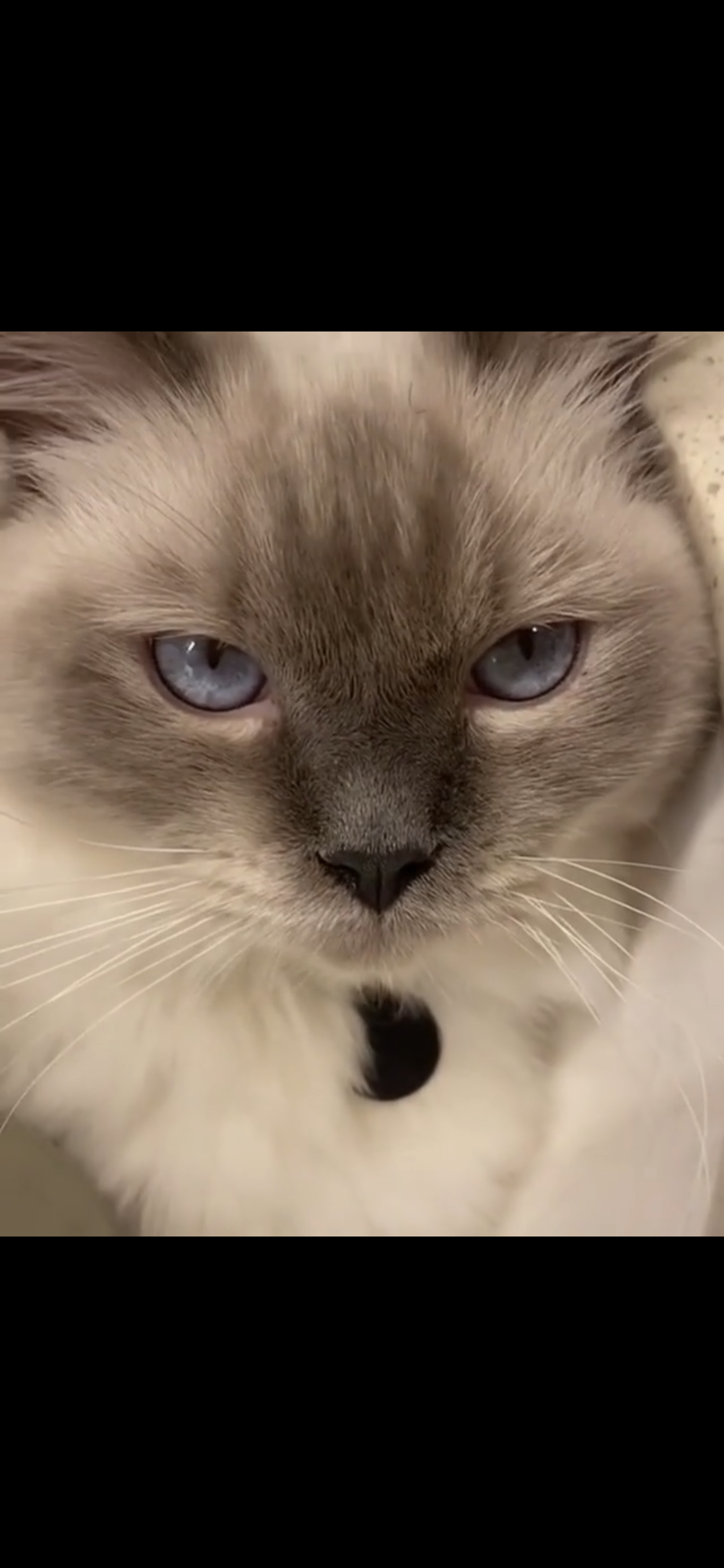 Go to Bakhtiyar Ibragimov's profile