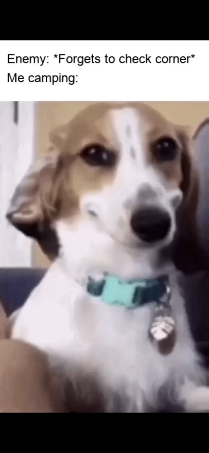 Go to Sahil Jaiswar's profile