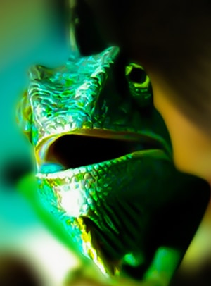 Go to Ryan Hyde's profile