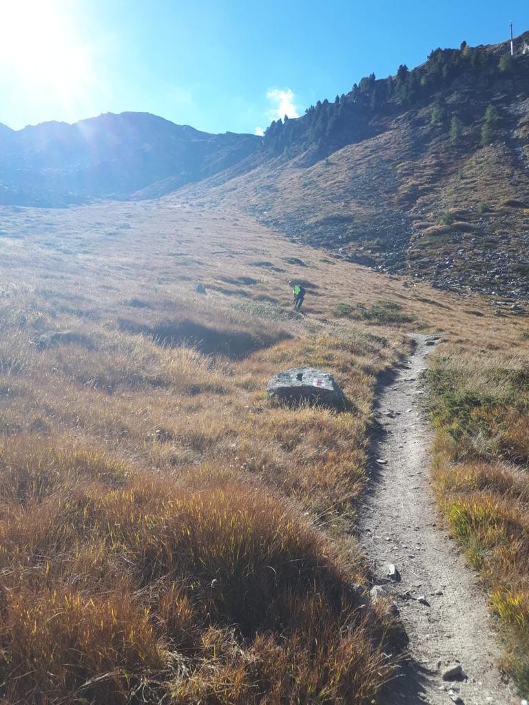 Go to Sheriff Moestadja's profile