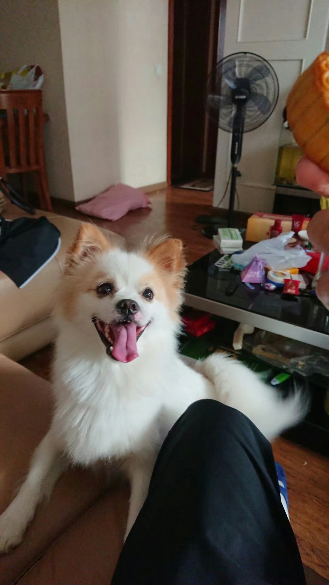 Go to yiming huang's profile