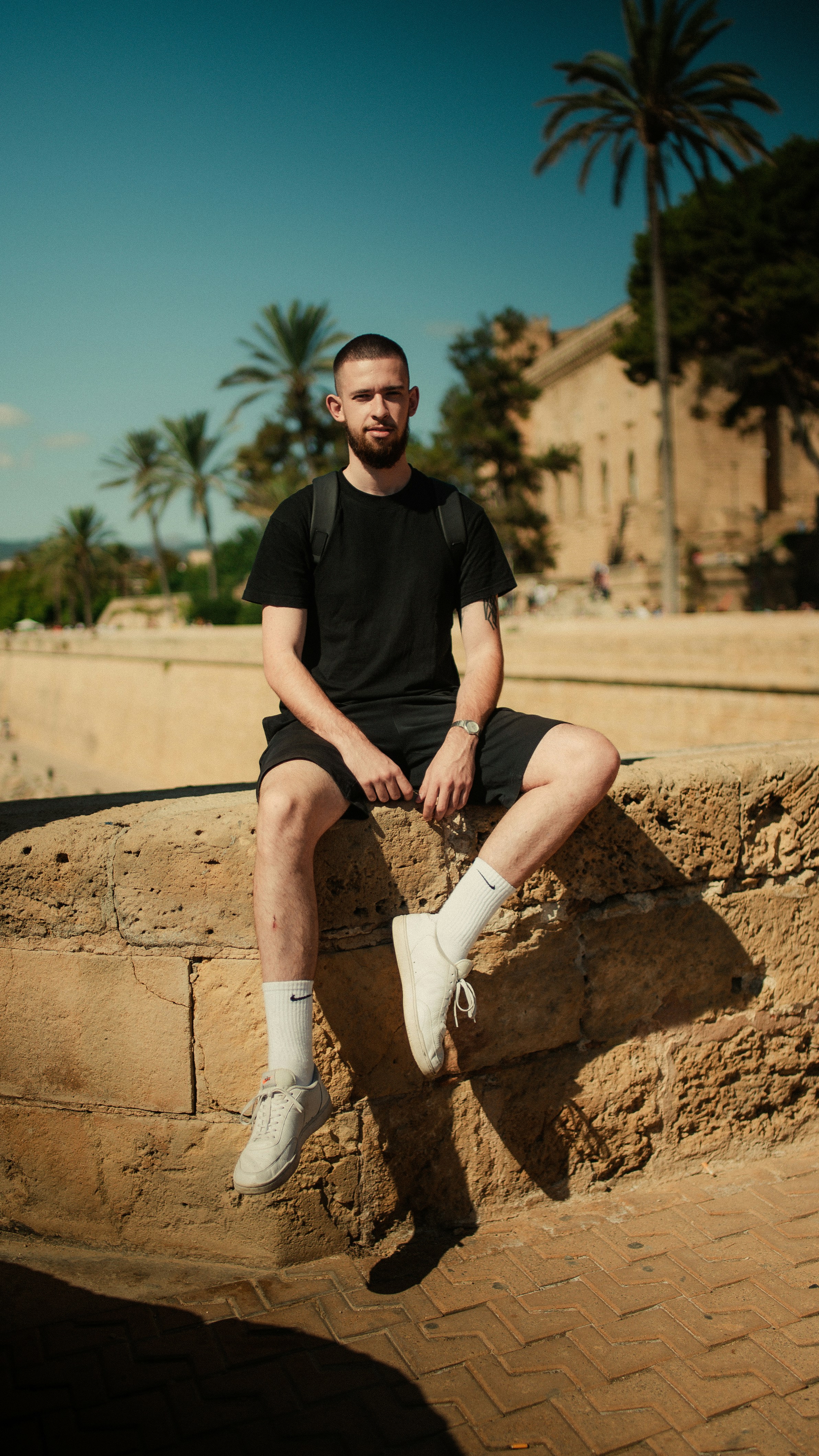 Go to Alexander Goldhammer's profile