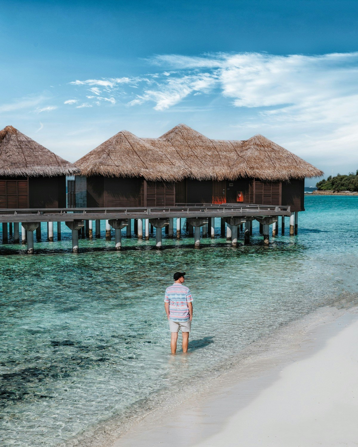 Go to David Anderson's profile