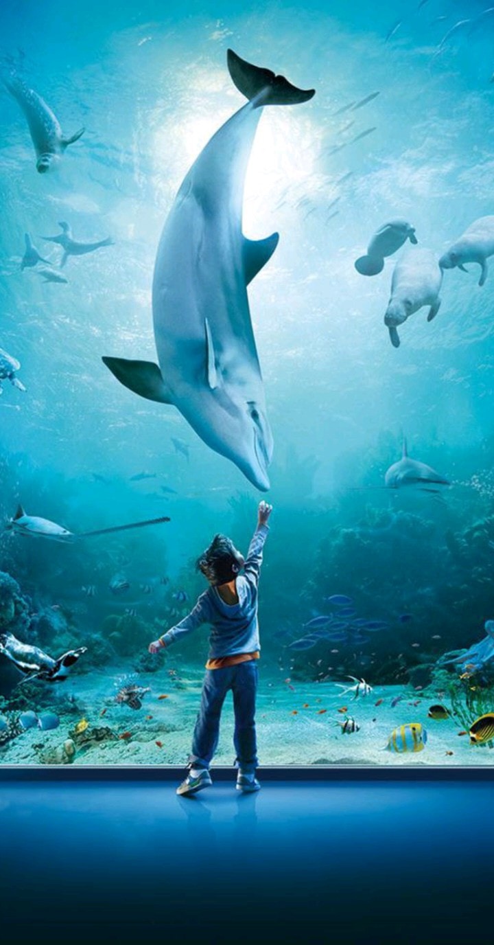 Go to Amit Singh's profile