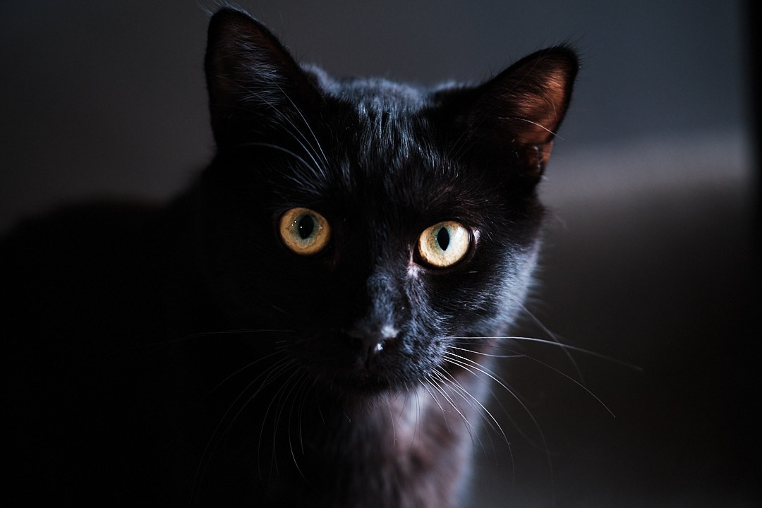 Go to Arno Retief's profile