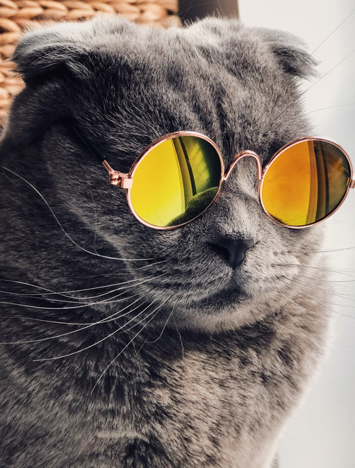 Go to Splash Pic's profile