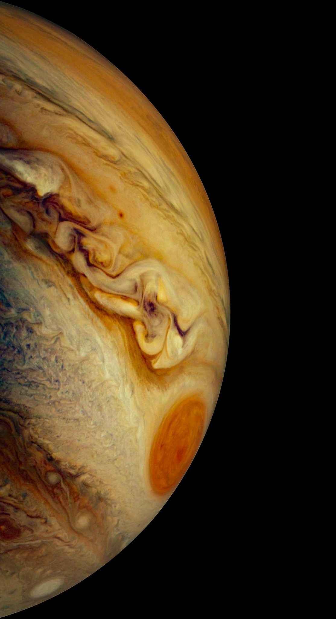 Go to Kyle brown's profile