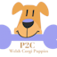 Avatar of user Pembroke Welsh Corgi Puppies