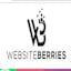 Avatar of user WEBSITE BERRIES