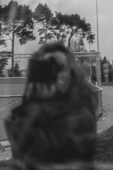 Zum Profil von anna skrzynska