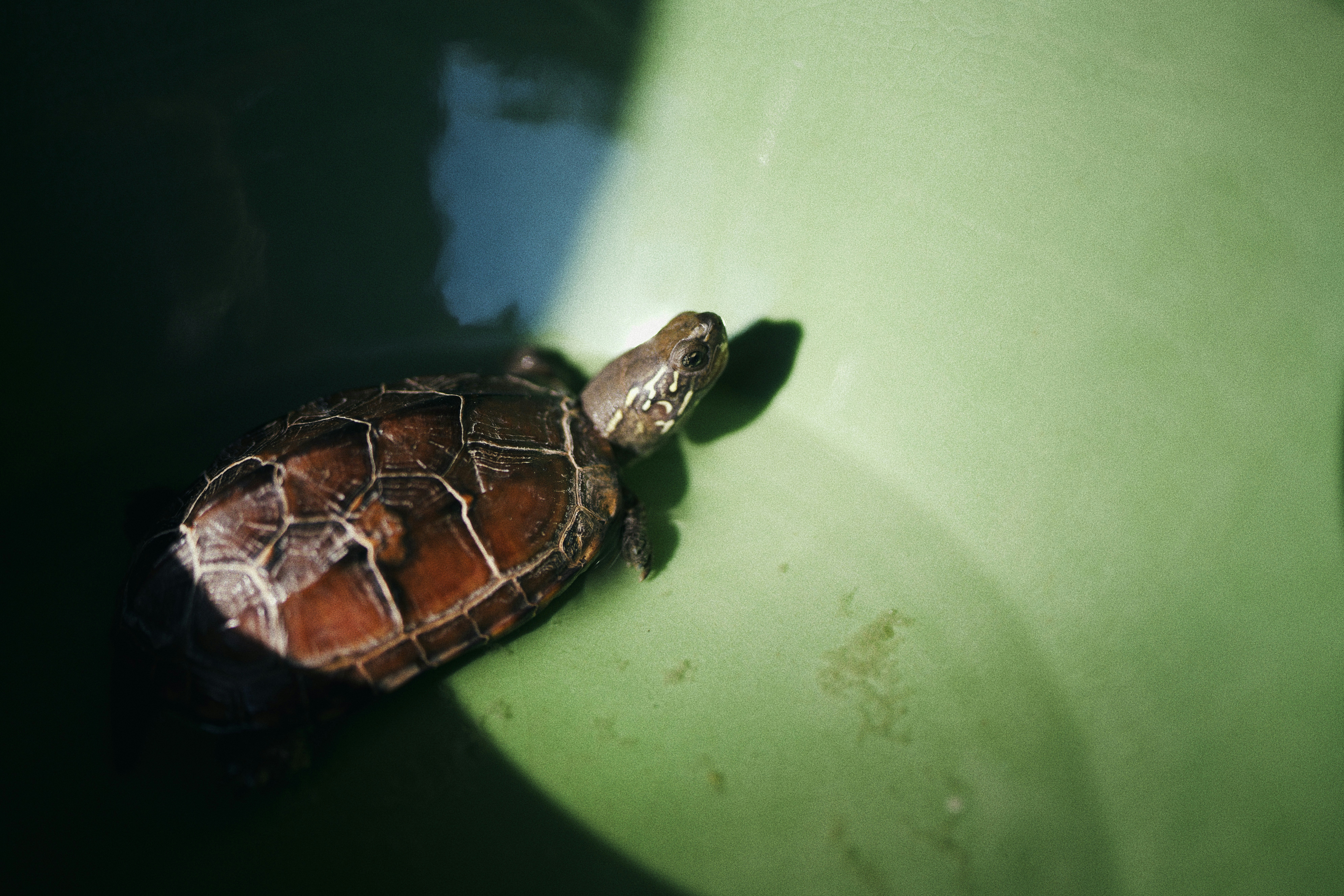 Go to 愈 颜's profile