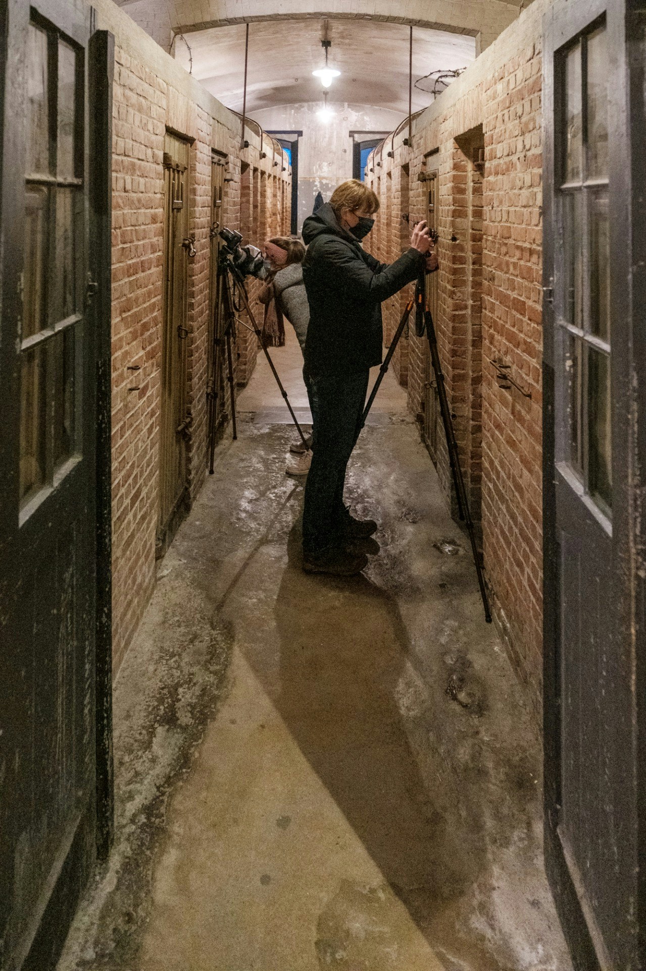 Go to Lies Vergauwen's profile