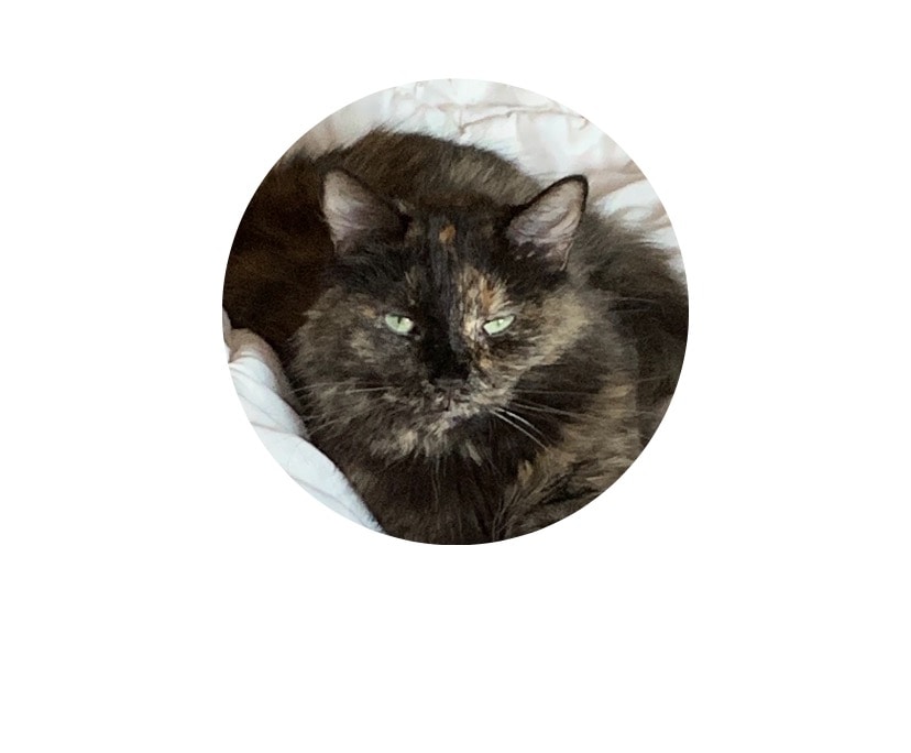 Go to Deborah L Carlson's profile