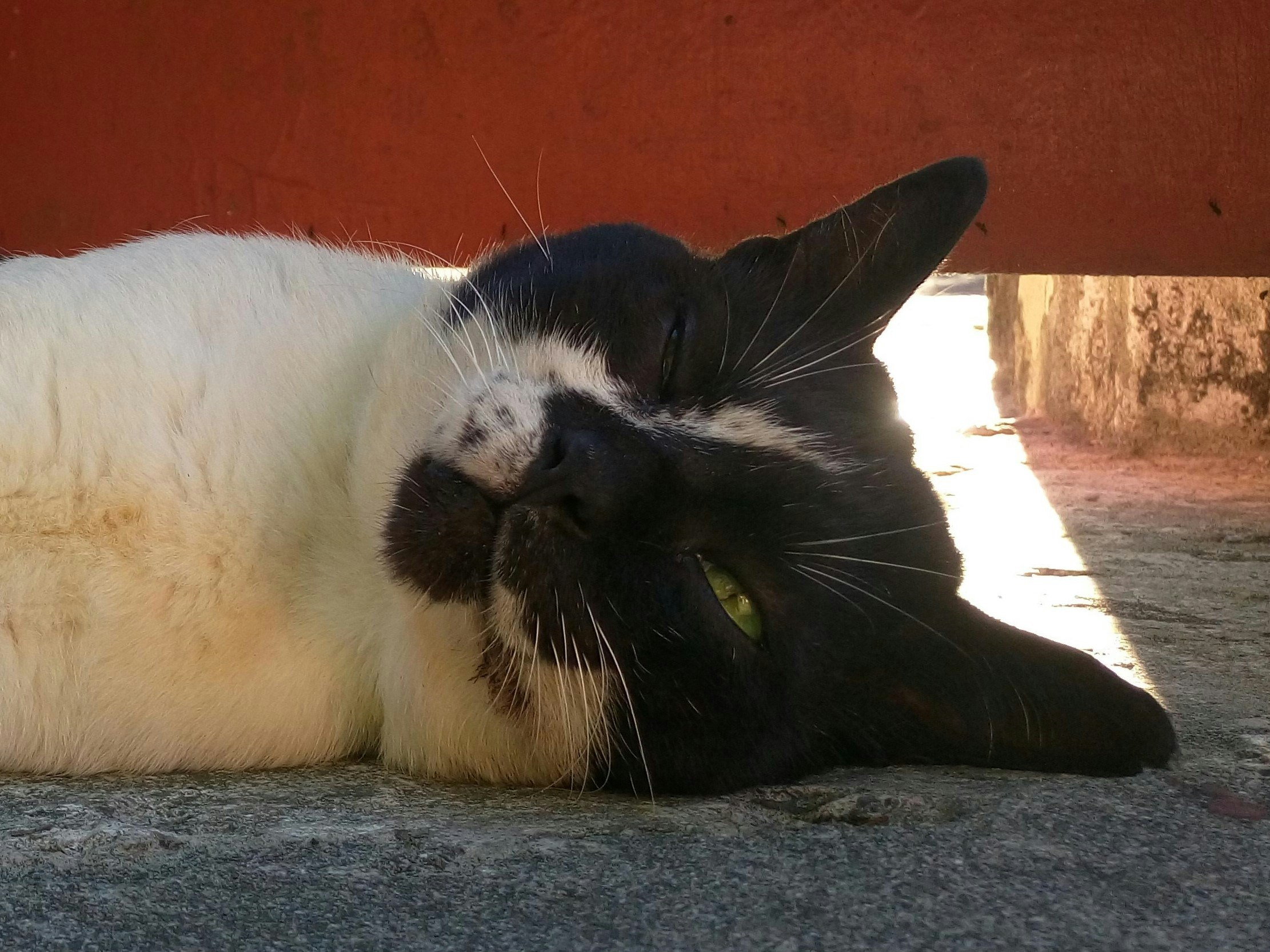 Go to Yiju Cheng's profile