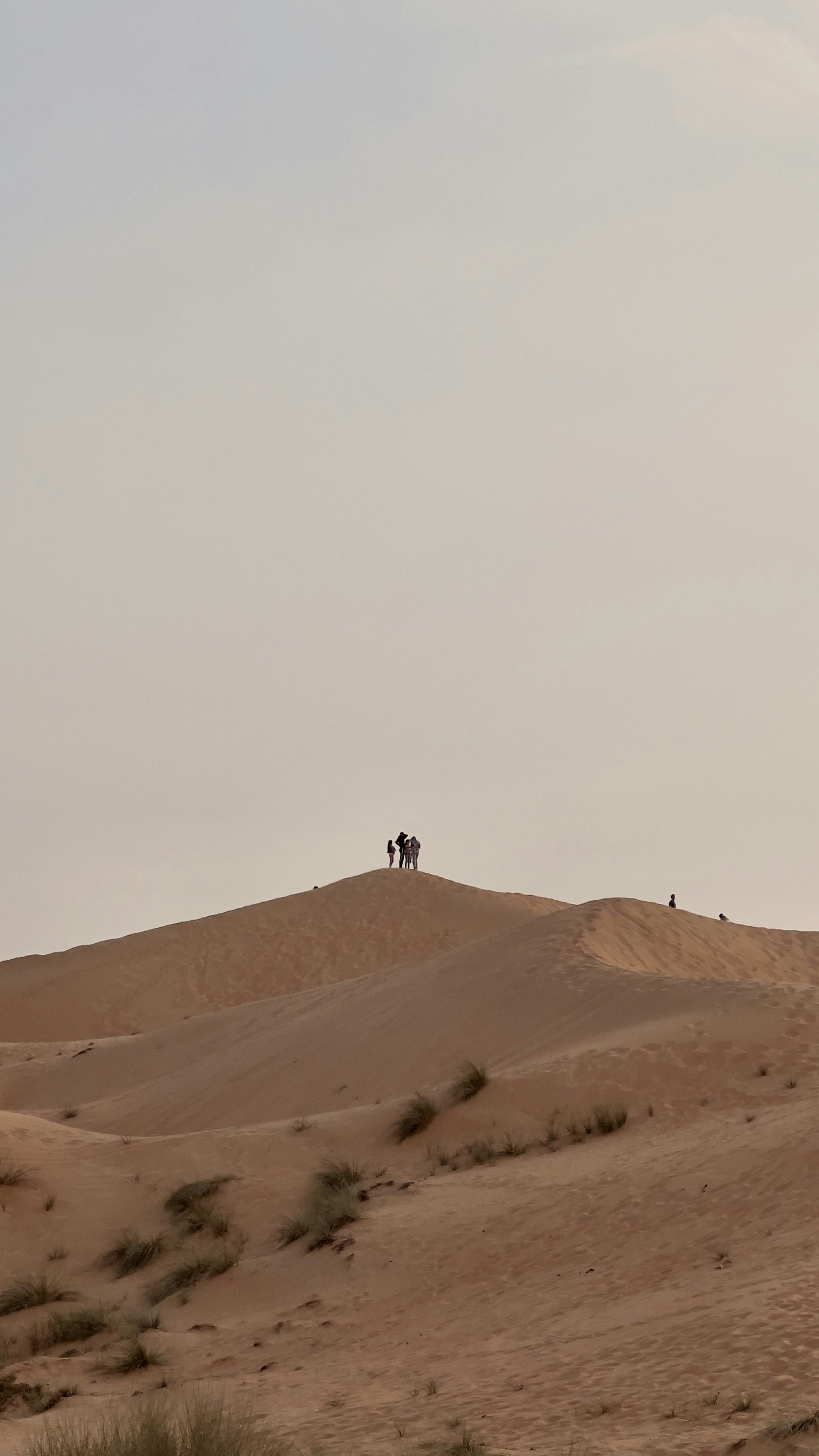 Go to S saeed's profile