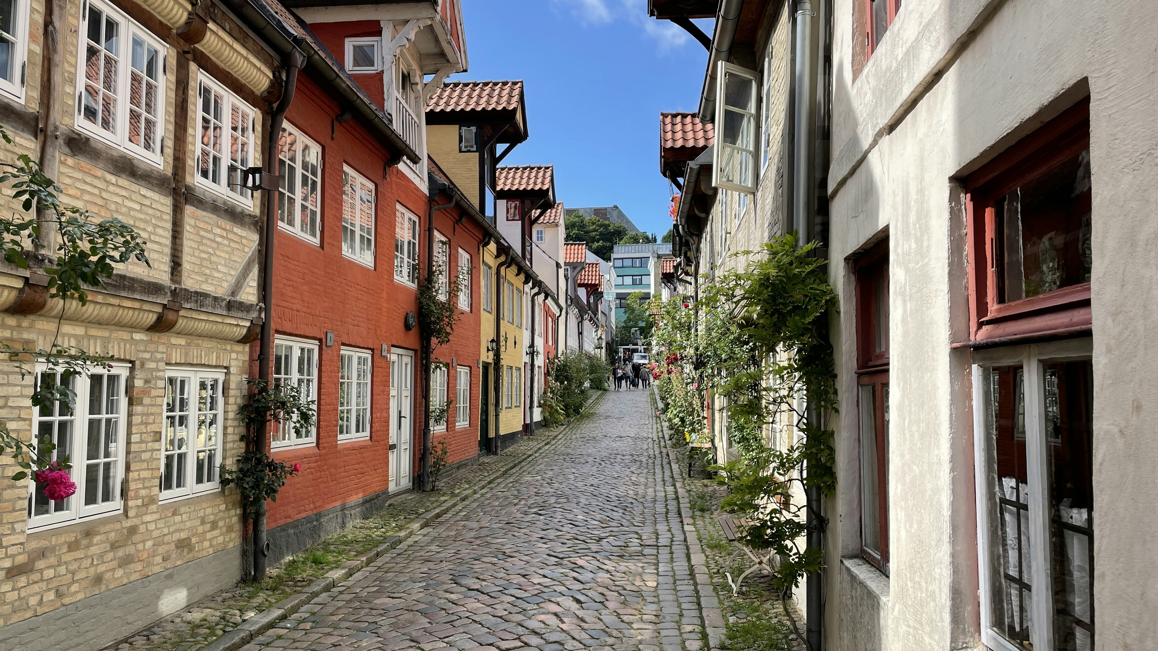 Avatar of user Theo Vetter