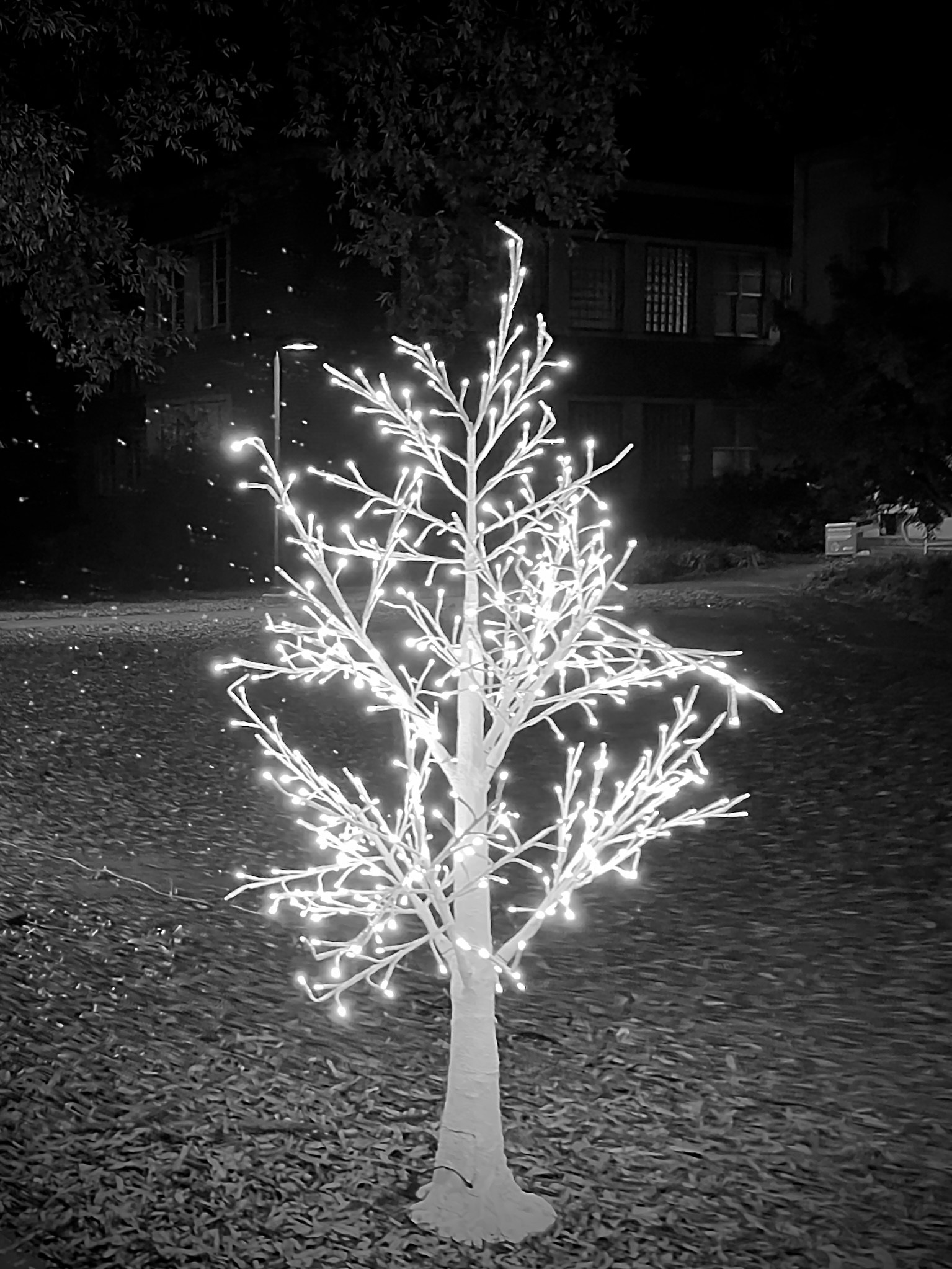 Go to Cody Martin's profile