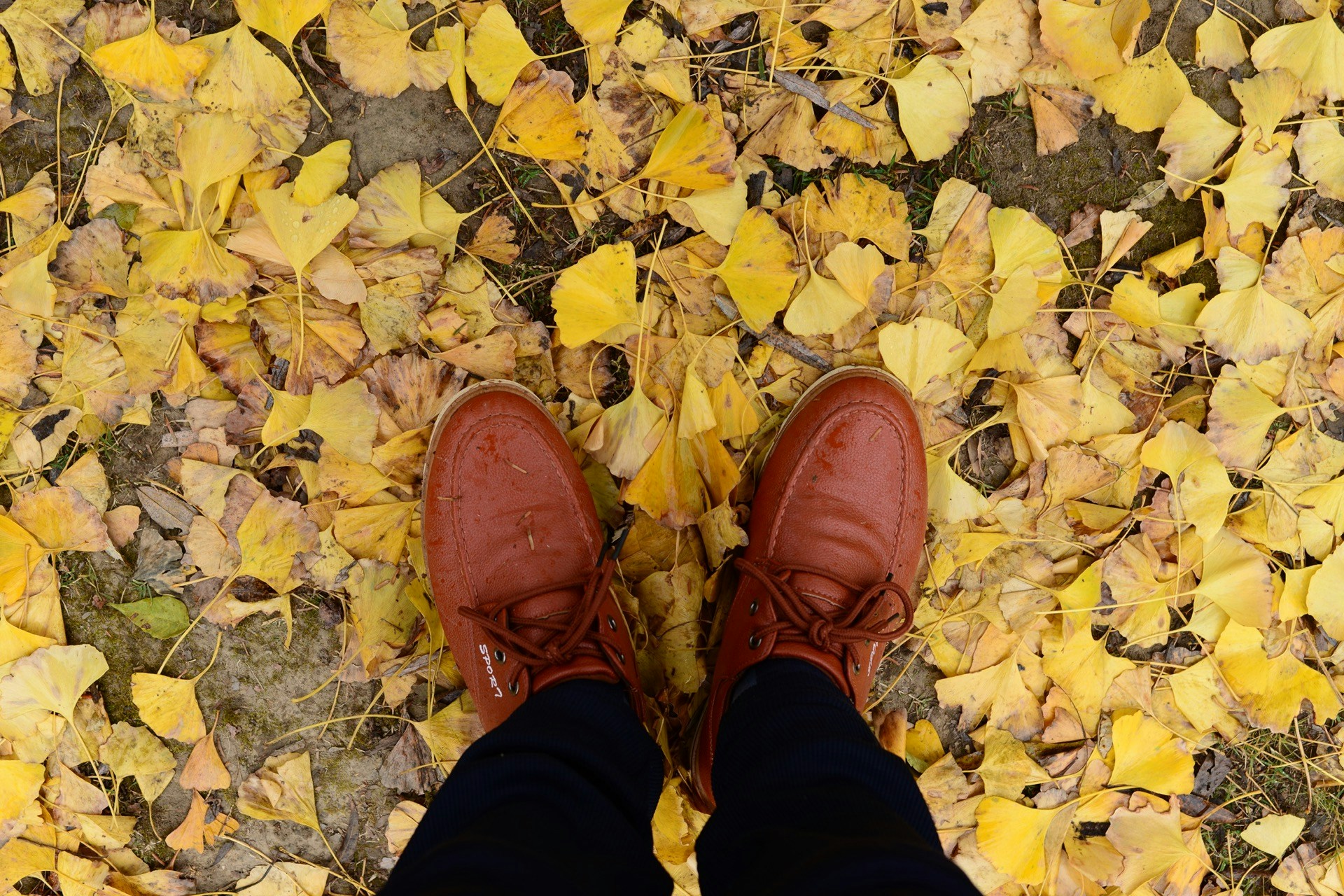 Go to Eirc Shi's profile