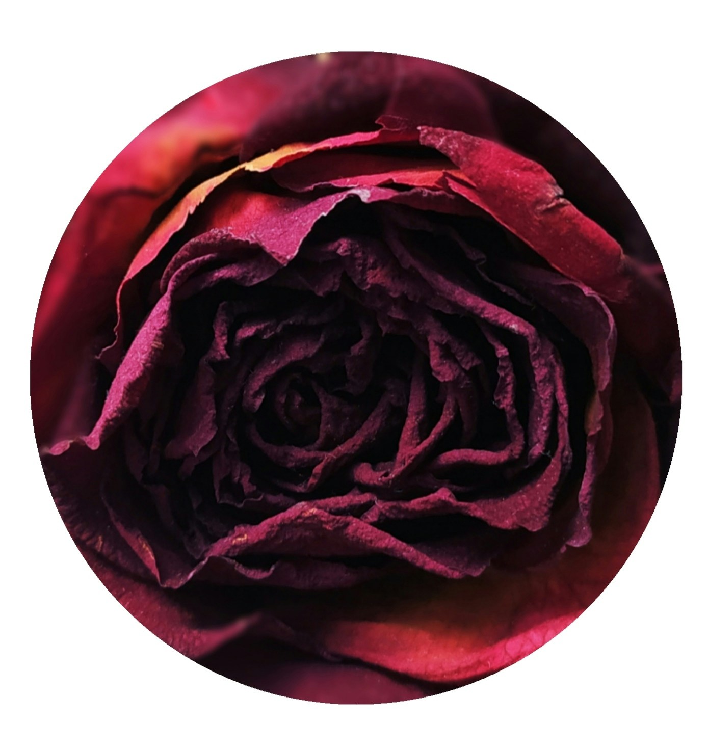 Ve al perfil de Magdalena Mastej