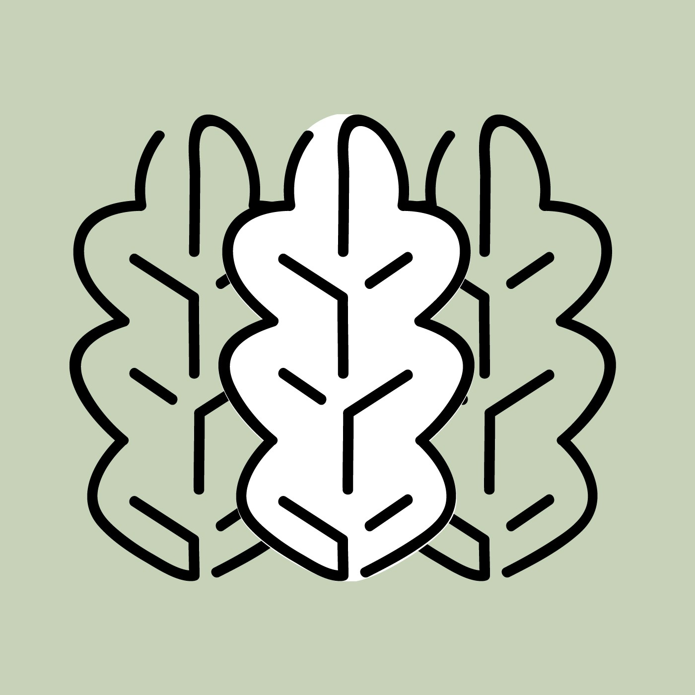 Vai al profilo di Carmen Tehillah