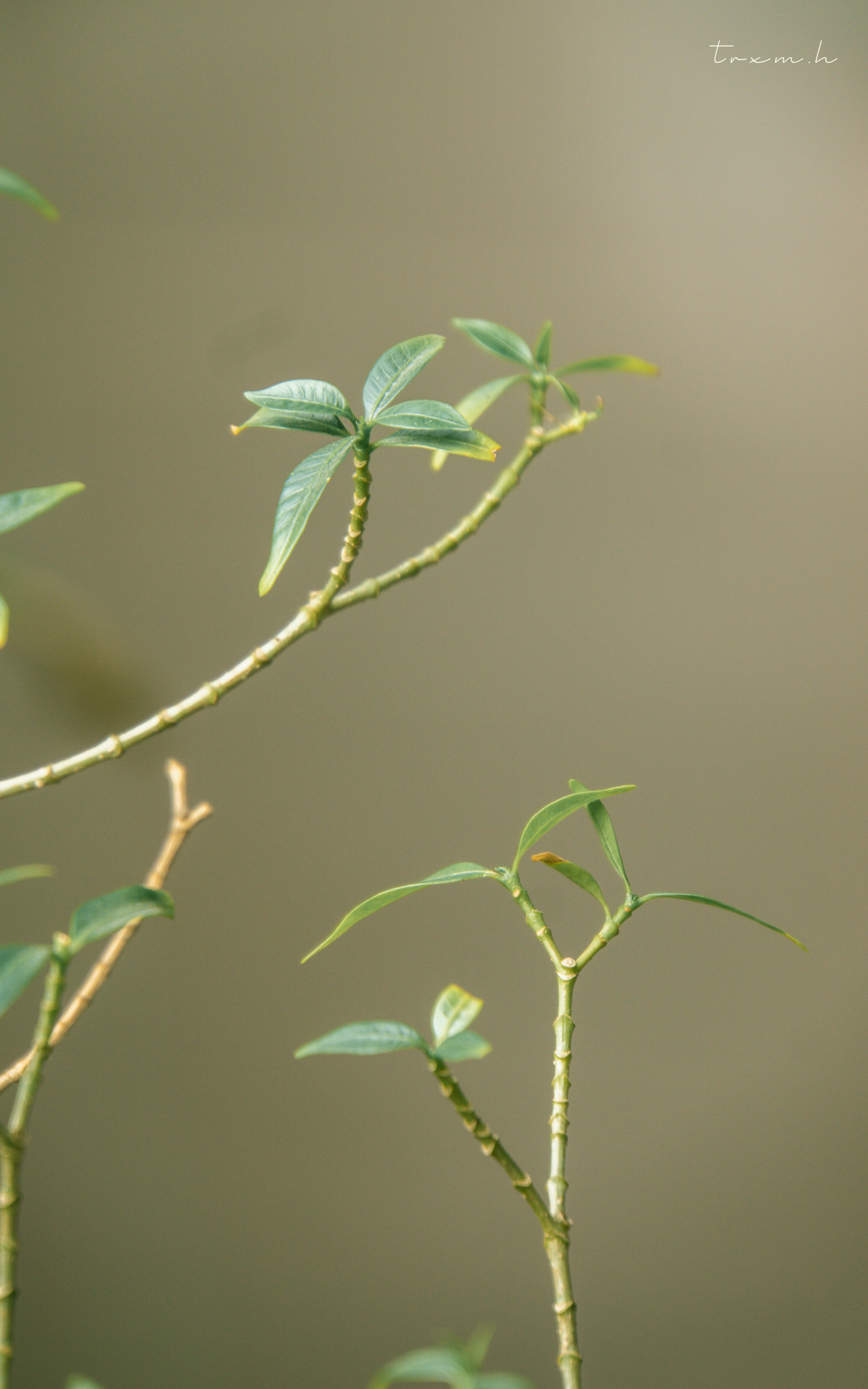 Go to trxm's profile