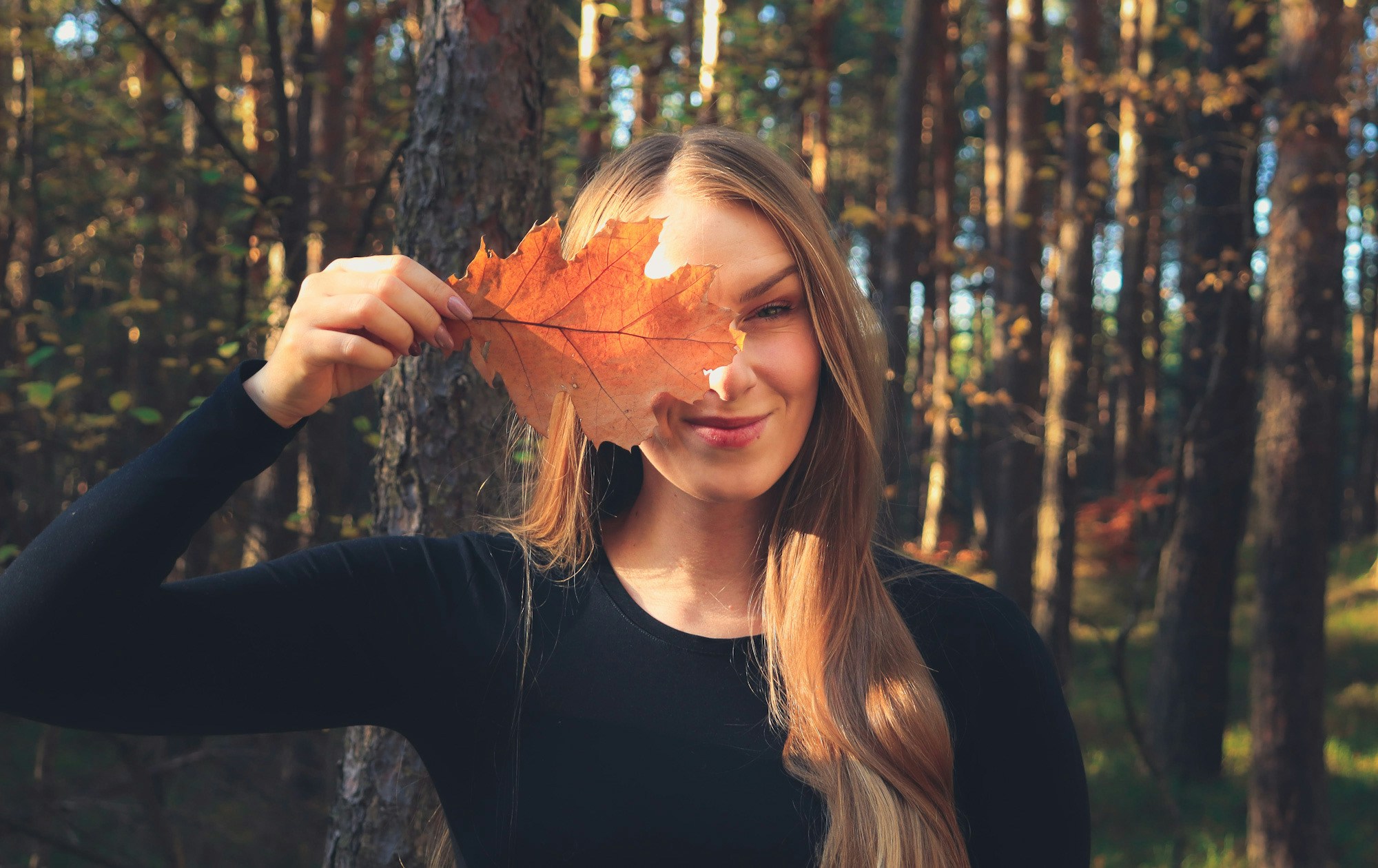 The Best Diet for Your Dog A Simple Guide