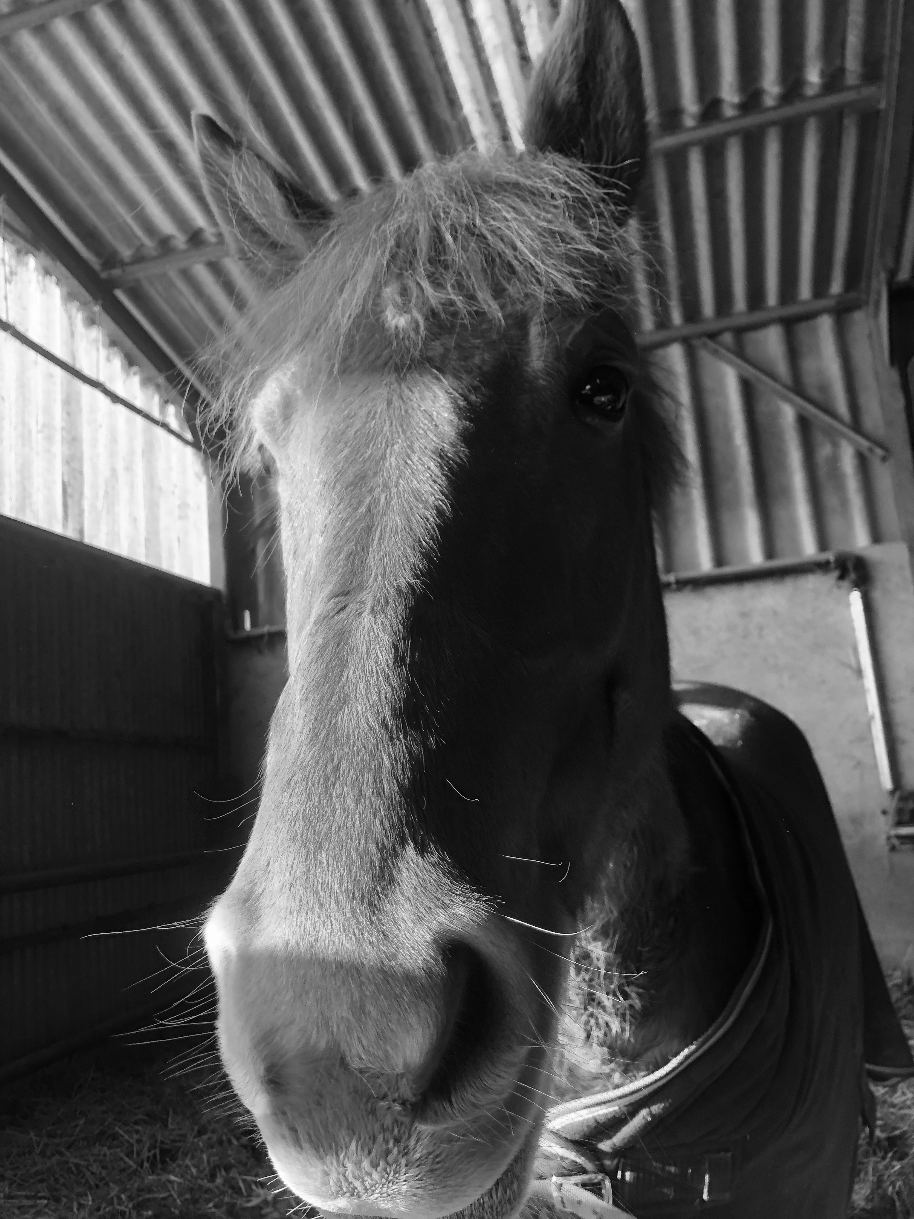 Emma Fourrierのプロフィールを見る