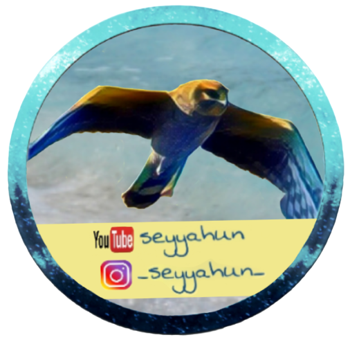 Ve al perfil de baris yurttas