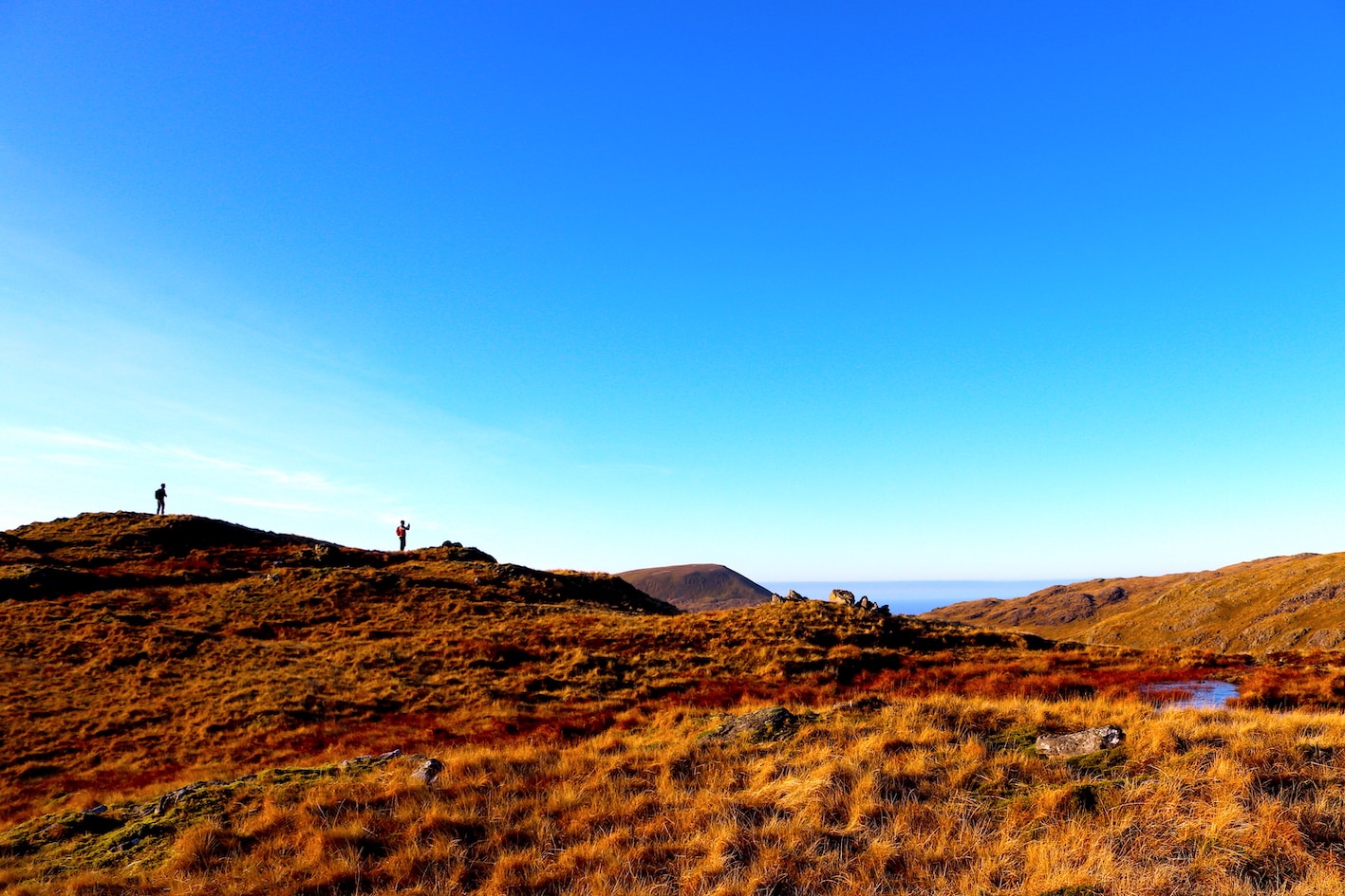 Go to Hayley Wild's profile