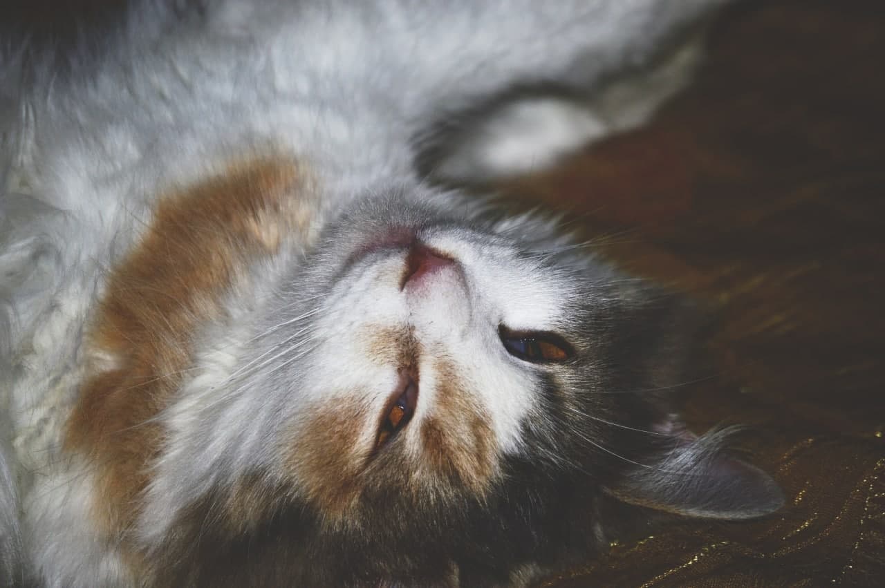 Go to Stabel Webel's profile