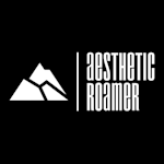 Avatar of user Aesthetic Roamer