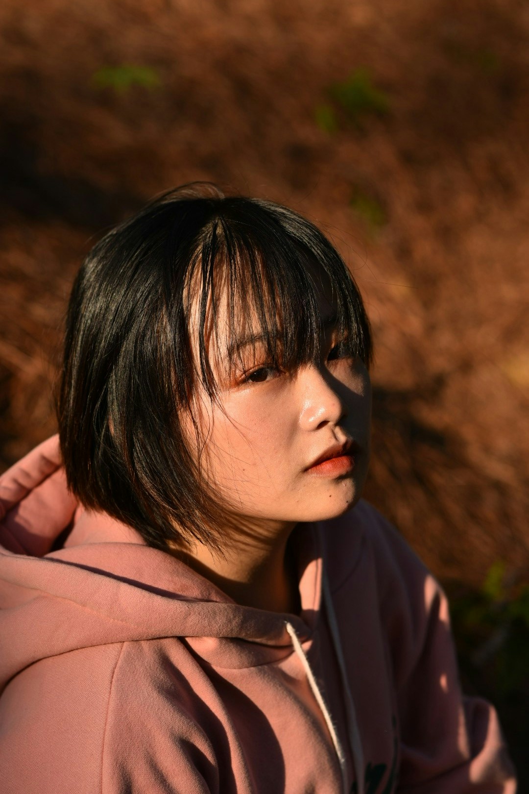 Ir para o perfil de Nhat Ha