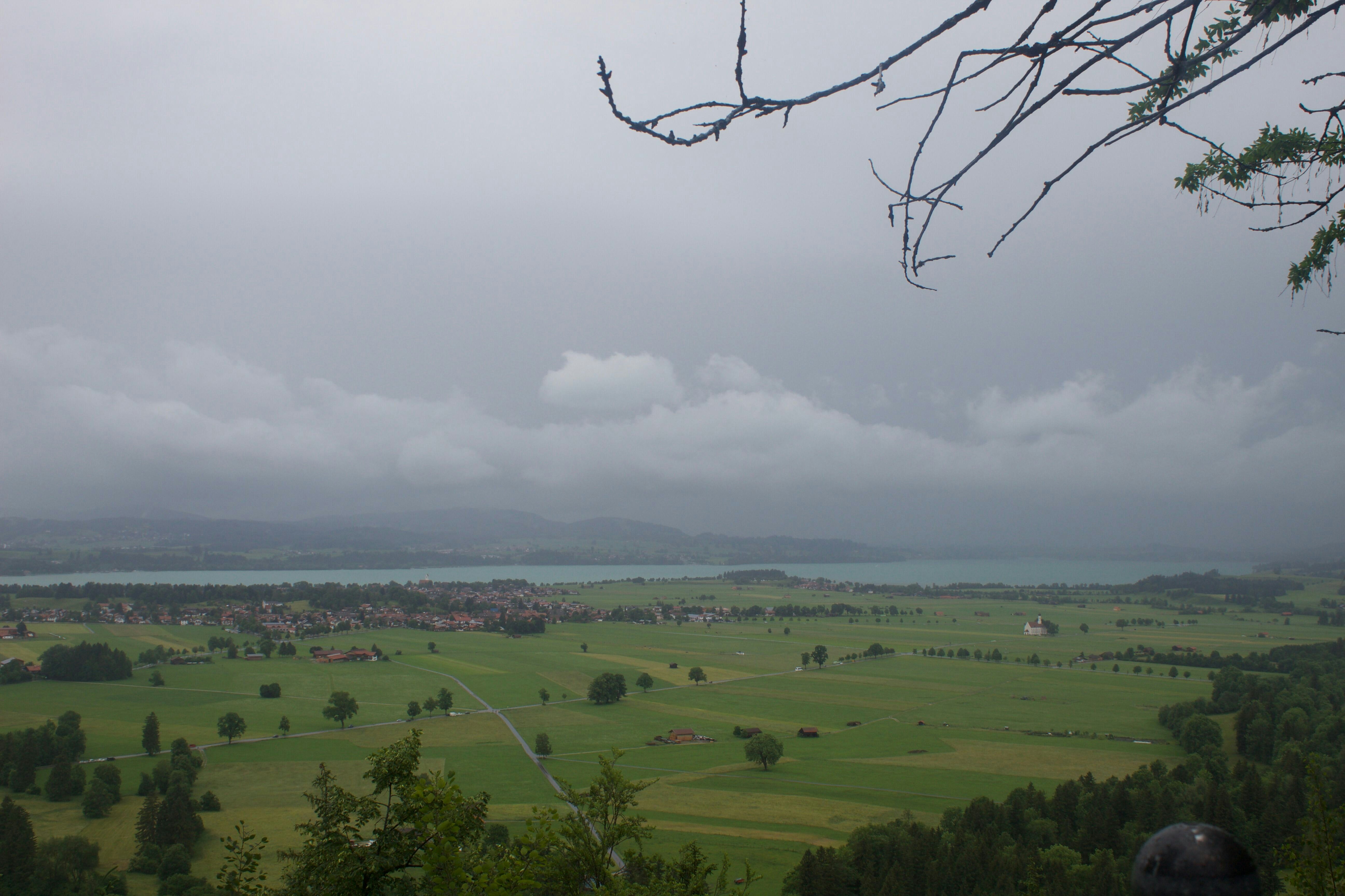 Go to Golden Lens's profile