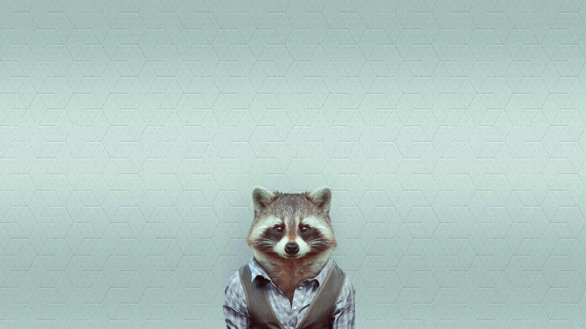 Go to Ujan Timsina's profile