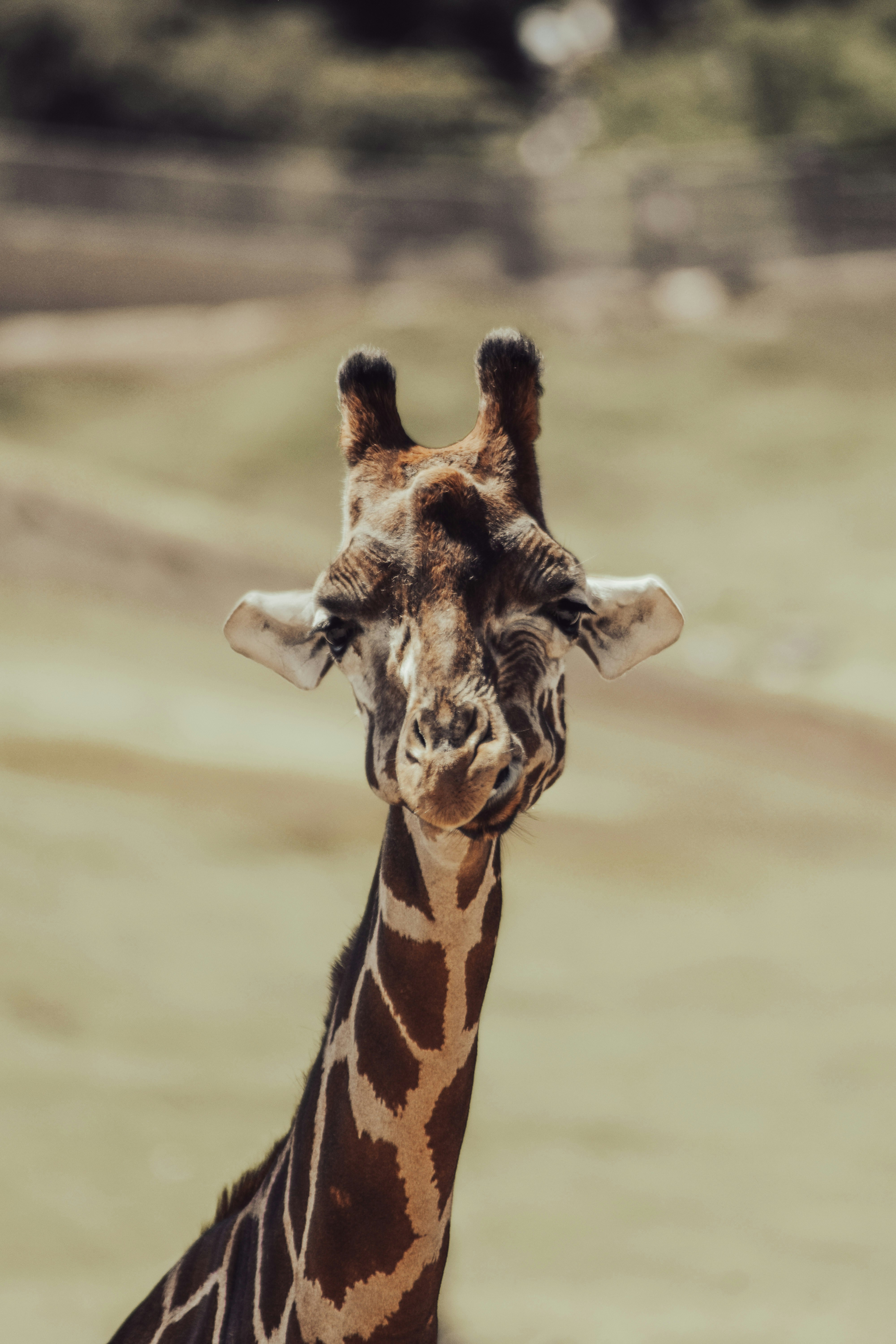 Go to William Rudolph's profile