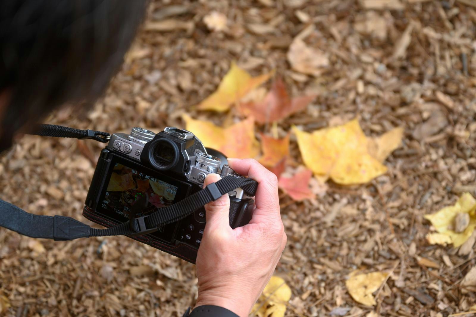 Go to Karson Chan's profile