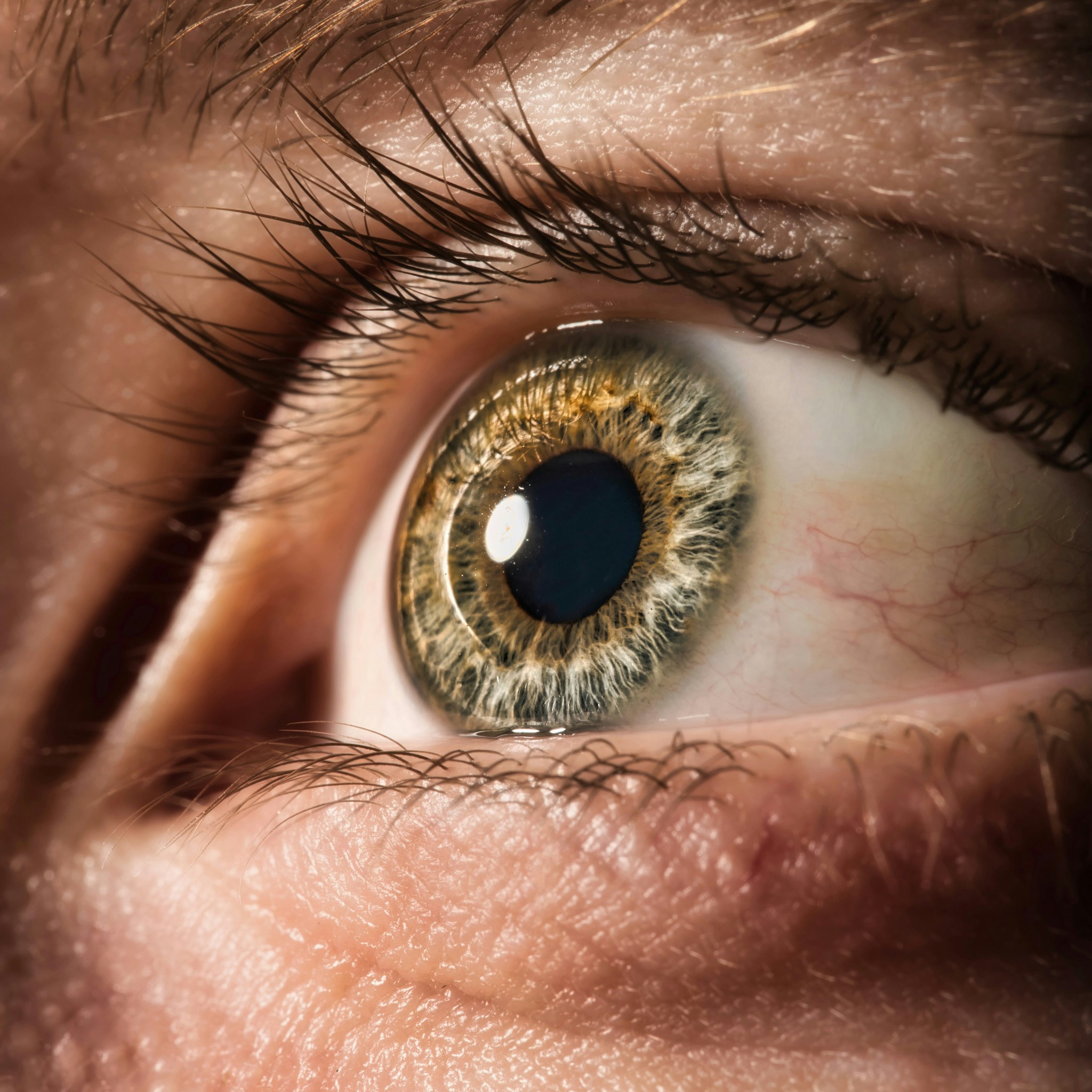 Go to Venti Views's profile