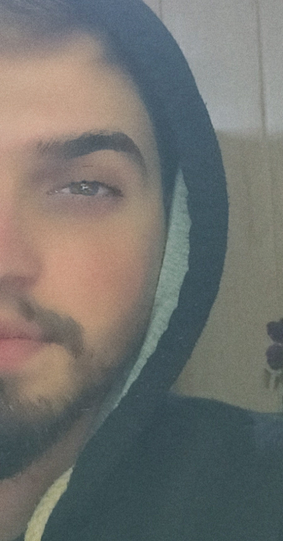 Go to Zanyar Tofiq's profile