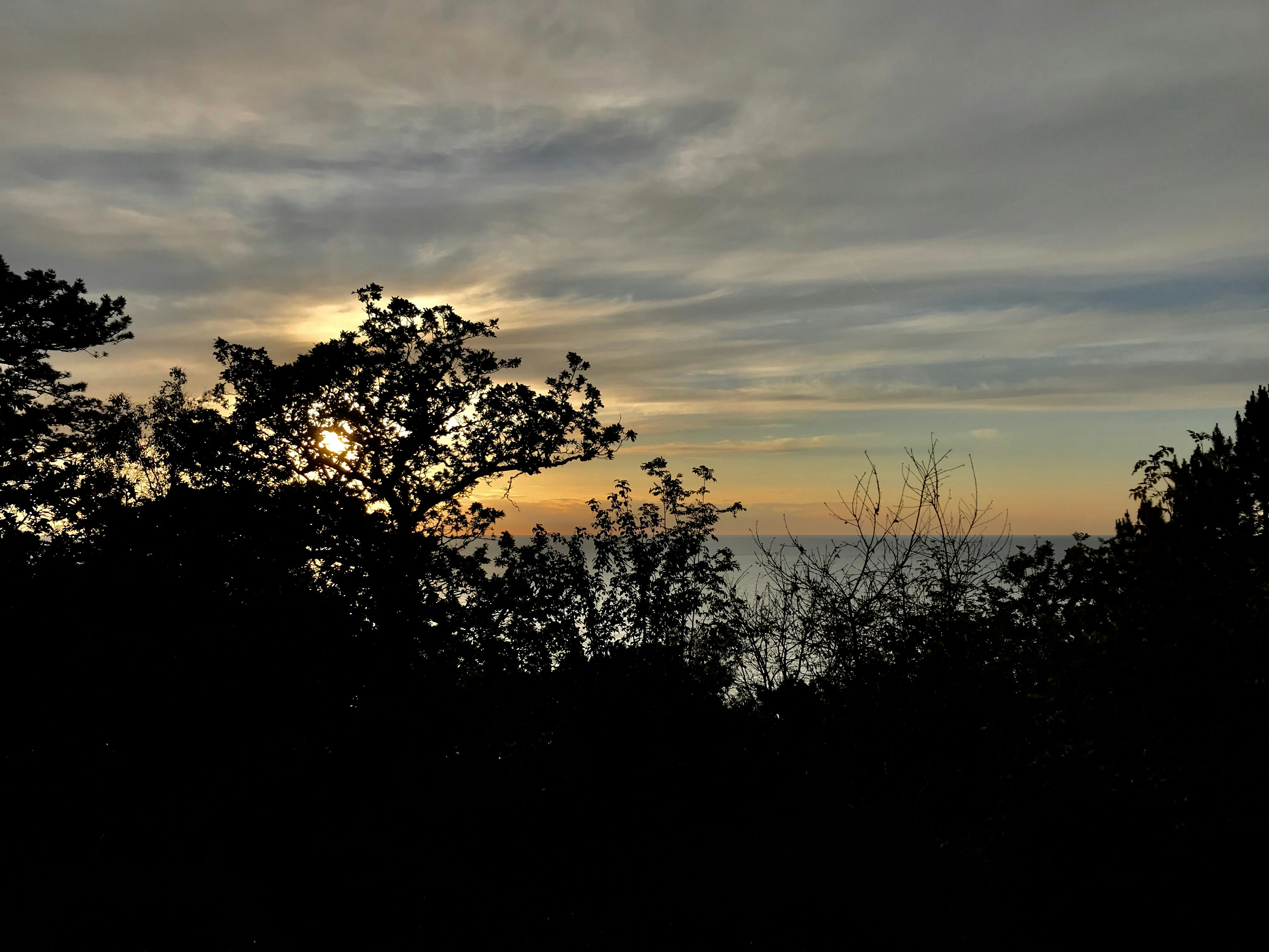 Go to Annika Ashley's profile