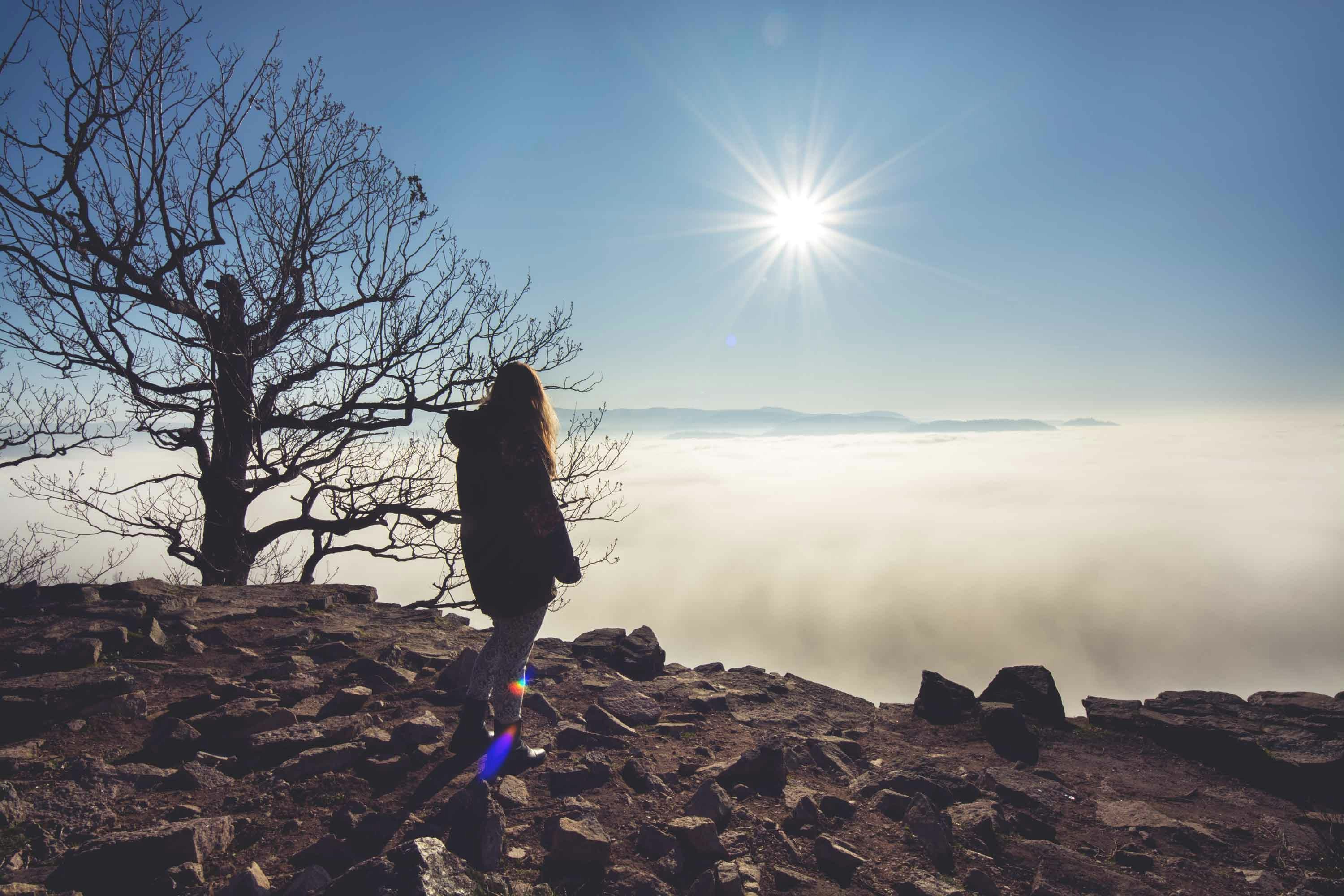 Avatar of user Nicole Kühn